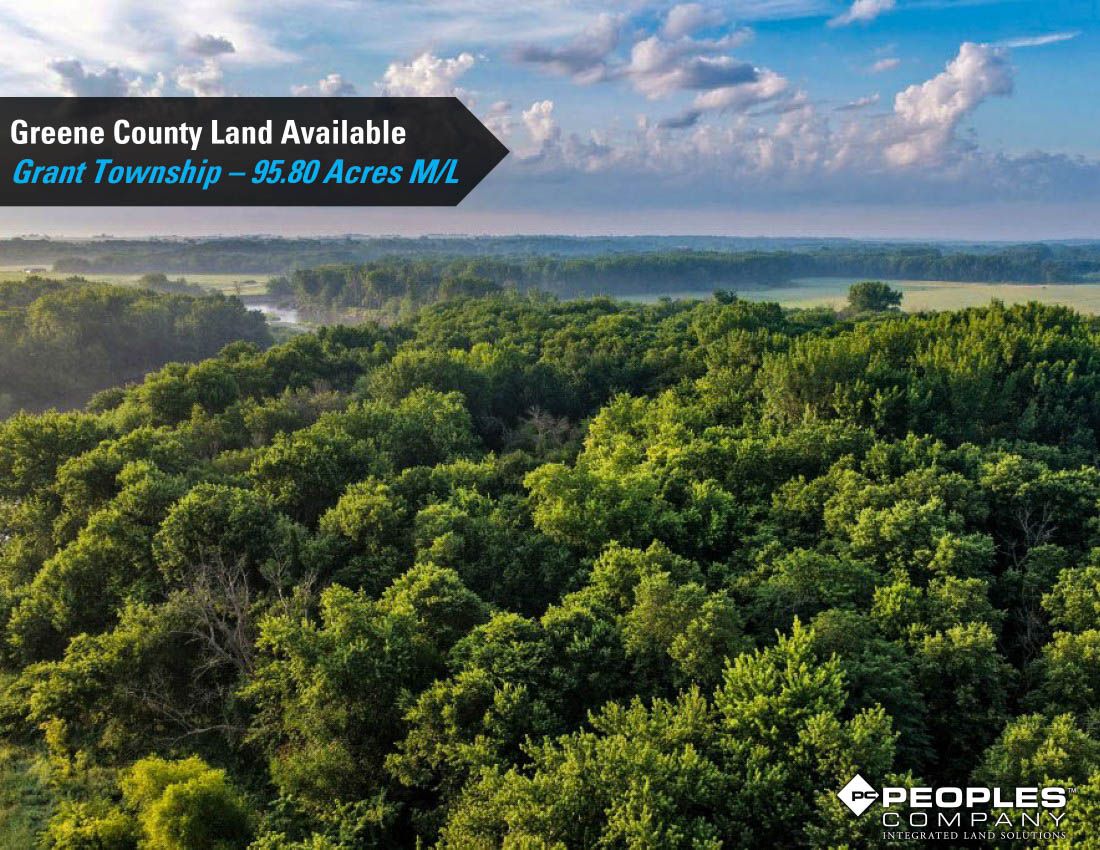 Listing Photo: Greene-Co-Rec-Land-Available-95-Acres-19559 (9)